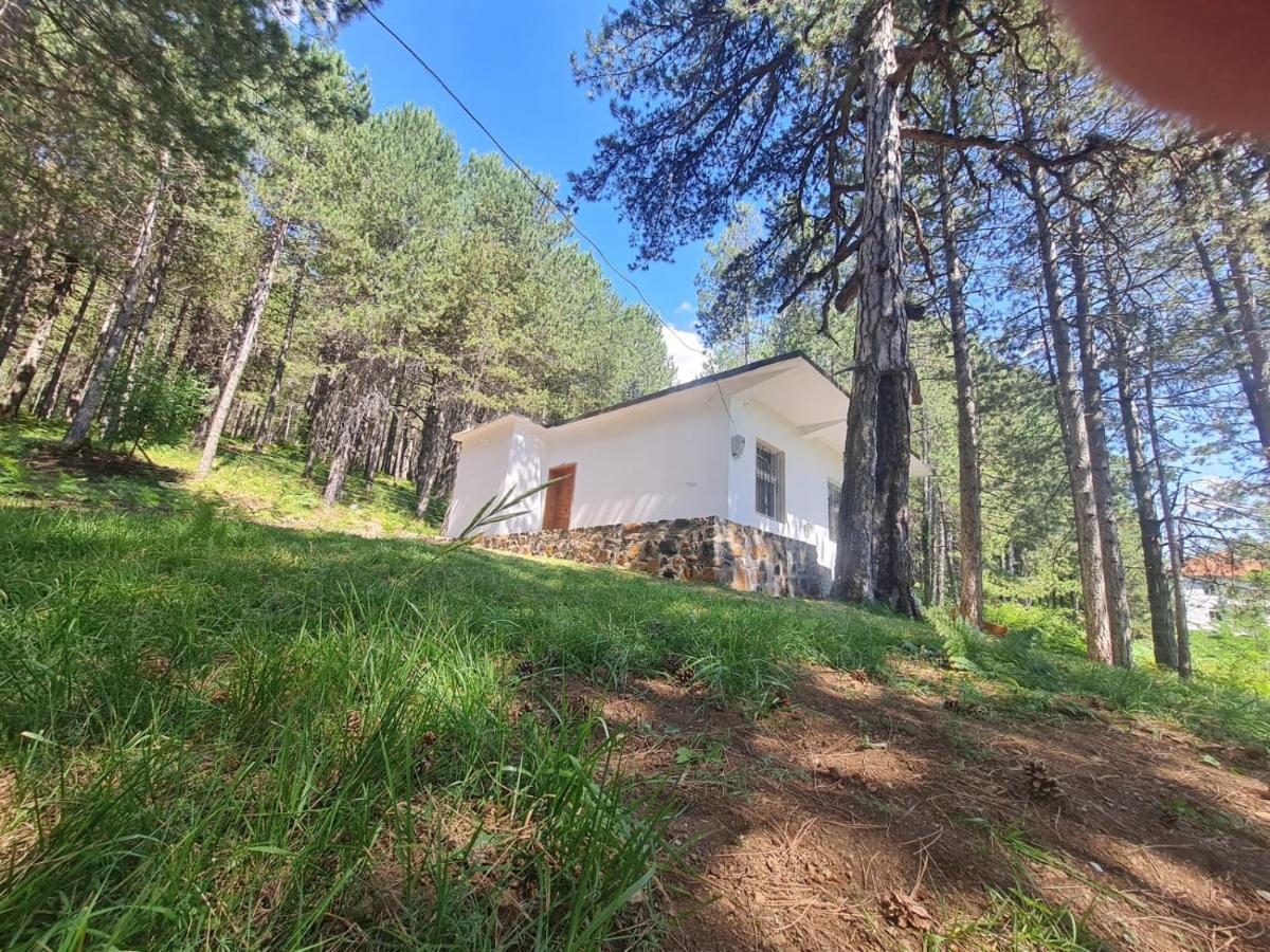 Bujtinat Skenderi Gjinar 2 Villa Kültér fotó