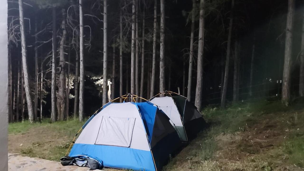Bujtinat Skenderi Gjinar 2 Villa Szoba fotó