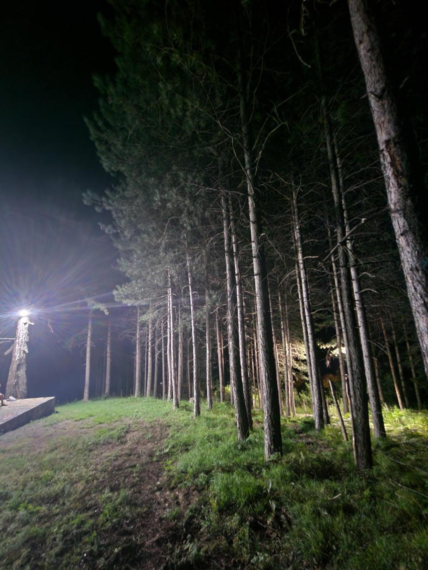Bujtinat Skenderi Gjinar 2 Villa Szoba fotó